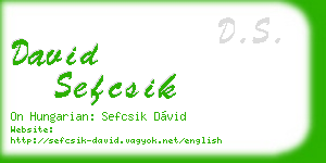 david sefcsik business card
